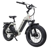 E-Bike E-Fatbike “Diablo XR2" 25 km/h, 15 Ah,  48V, 720Wh Mittelmotor  /grau-matt/