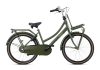 Hollandrad Popal ``Daily Dutch Basic Plus`` Fahrrad Mädchenfahrrad 24 Zoll, 3 Gang /armygrün/