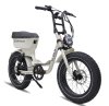 E-Bike E-Fatbike Diablo "Zipper" 25 km/h, 250 Watt, 15Ah 48V 720Wh /grau/