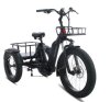 E-Fatbike E-Dreirad Diablo "Big Foot" 16Ah 36V 576Wh Ketten 7G Heckmotor 2 AKKU (schwarz)